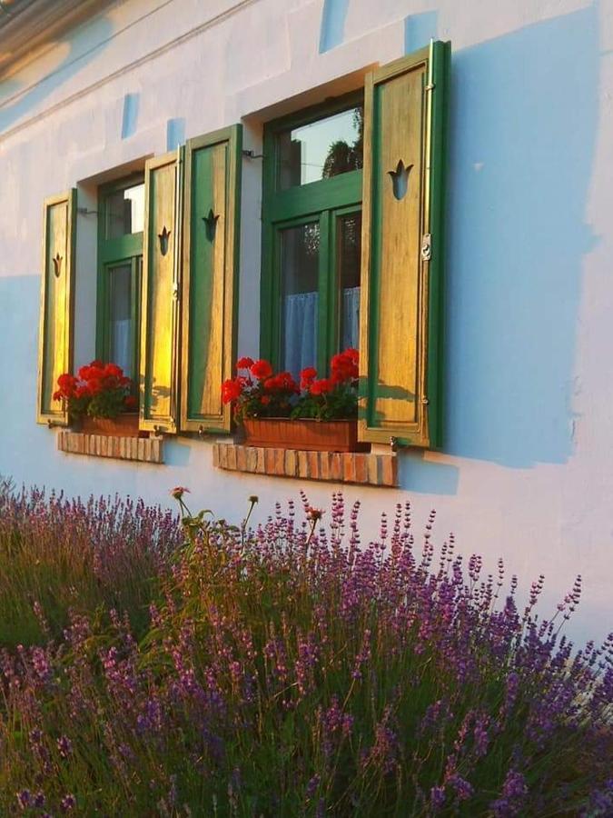 Egkoris Vendeghaz Hotel Bakonyszucs Exterior foto